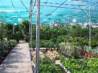 Xerogiannis Garden Center_b.jpg