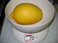 citron 16.1.09.734g 003.jpg