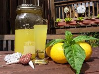 Limoncello_c.jpg