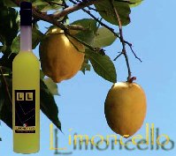 limoncello_a.jpg