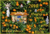 Vanoce 2010_cz_citrusy.jpg