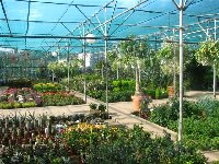 Xerogiannis Garden Center_a.jpg