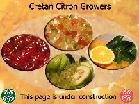 Cretan-citron_c.jpg